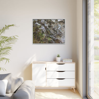 Mossy Whispers - Unique Stretched Canvas Wall Art