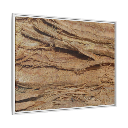 Splintered Bark - Unique Stretched Canvas Wall Art