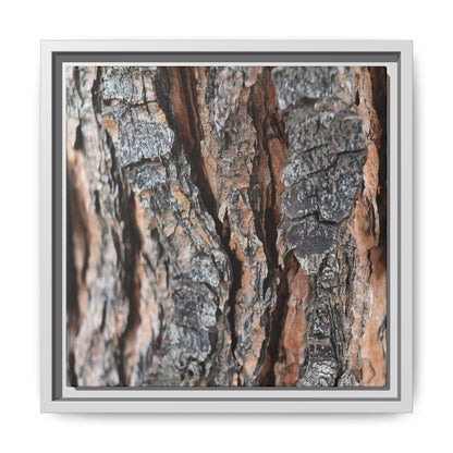Fractured Nature - Unique Stretched Canvas Wall Art