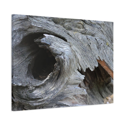 Twisted Whispers of the Forest Floor - Unique Frameless Canvas Wall Art
