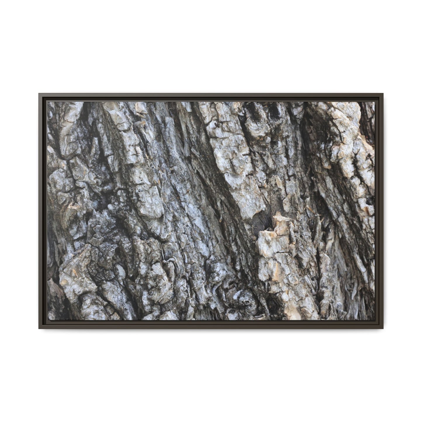 Twisted Textures - Unique Stretched Canvas Wall Art