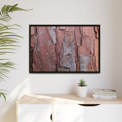 Peeling Bark - Unique Stretched Canvas Wall Art