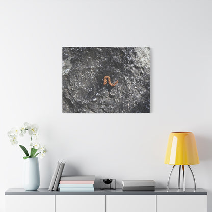Earthen Serpent - Unique Frameless Canvas Wall Art