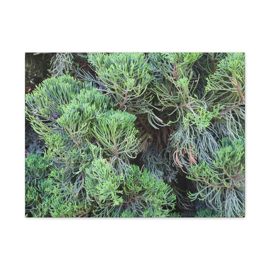 Green Labyrinth - Unique Frameless Canvas Wall Art