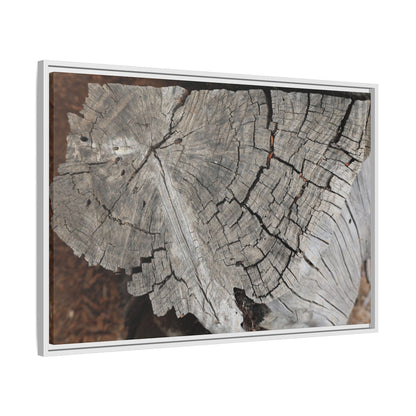 Time's Signature - Unique Stretched Canvas Wall Art