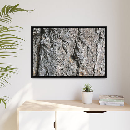 Crusty Exterior - Unique Stretched Canvas Wall Art
