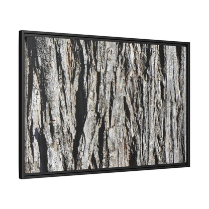 Nature's Abstract - Unique Stretched Canvas Wall Art