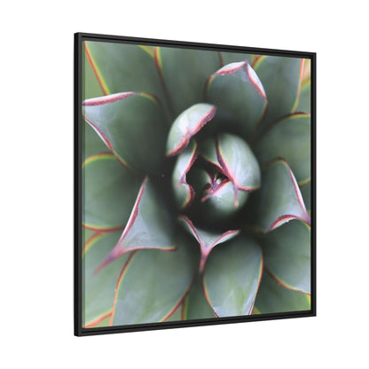 Spiky Elegance - Unique Stretched Canvas Wall Art