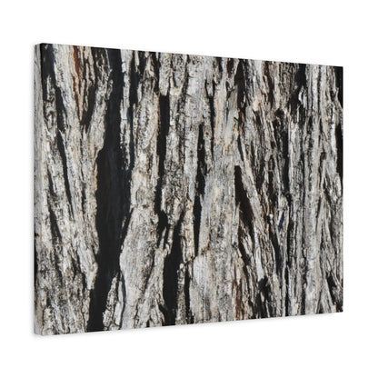 Bark Layers in Monochrome - Unique Frameless Canvas Wall Art