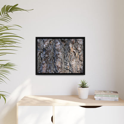 Weathered Patterns - Unique Stretched Canvas Wall Art