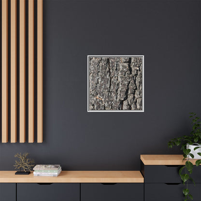 Bark Study in Gray - Unique Stretched Canvas Wall Art