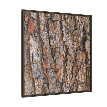 Tree's Timeworn Tale - Unique Stretched Canvas Wall Art