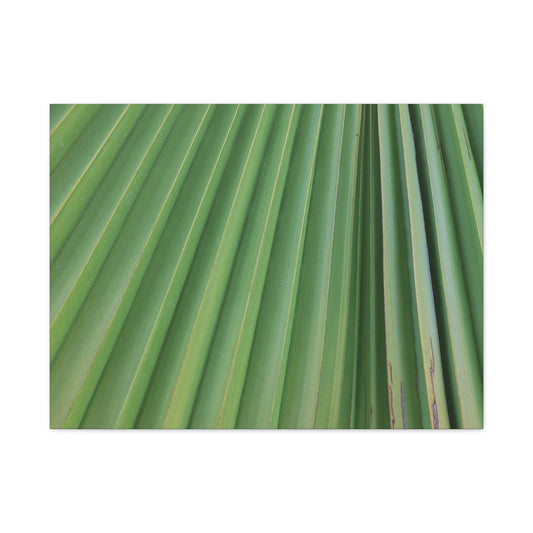 Palm Pulse - Unique Frameless Canvas Wall Art