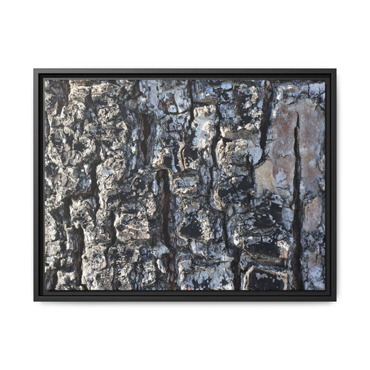 The Bark Chronicles - Unique Stretched Canvas Wall Art