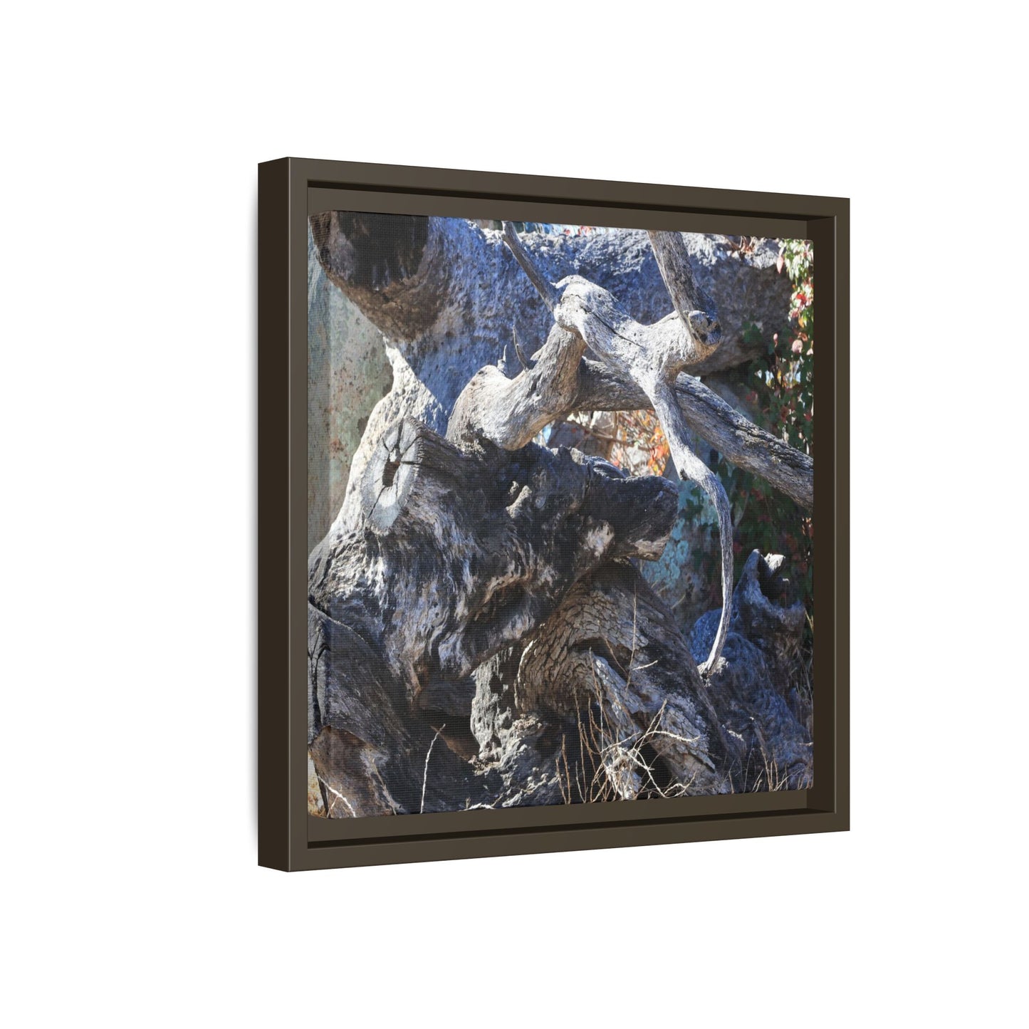 Resilient Roots - Unique Stretched Canvas Wall Art - Art By Earth