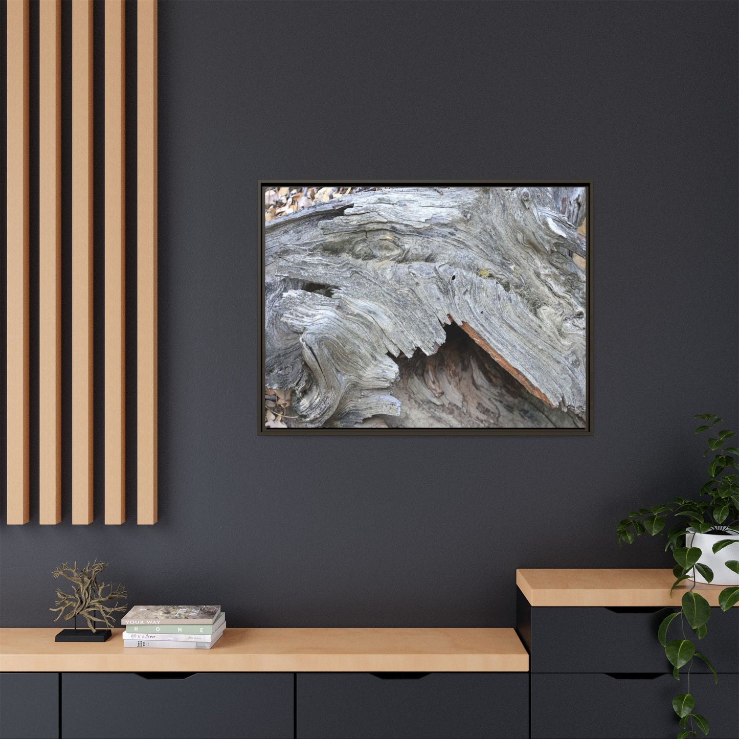 Driftwood Dreams - Unique Stretched Canvas Wall Art