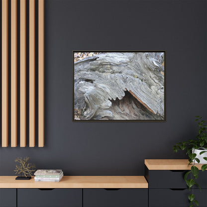 Driftwood Dreams - Unique Stretched Canvas Wall Art