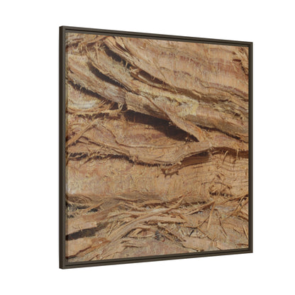 Splintered Bark - Unique Stretched Canvas Wall Art