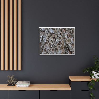 Woodland Canvas - Unique Stretched Canvas Wall Art