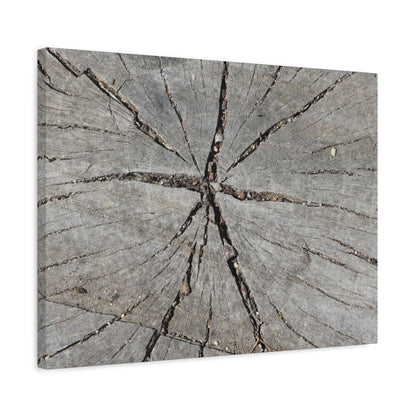 Cracked Chronicle - Unique Frameless Canvas Wall Art