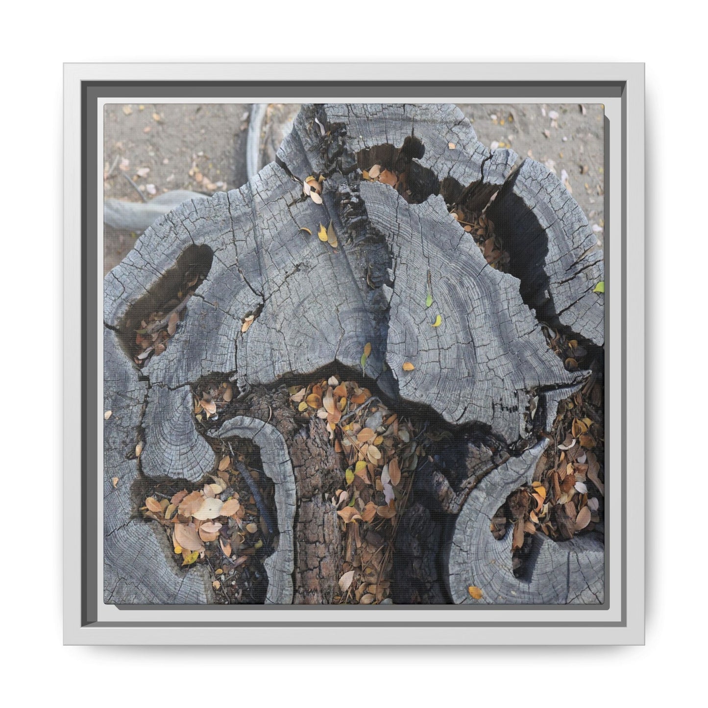 Time's Fractal Memory - Unique Stretched Canvas Wall Art