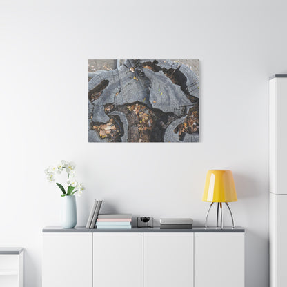 Weathered Woodland Whispers - Unique Frameless Canvas Wall Art