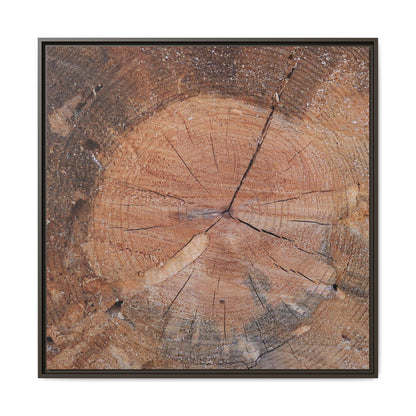 Concentric Memories - Unique Stretched Canvas Wall Art