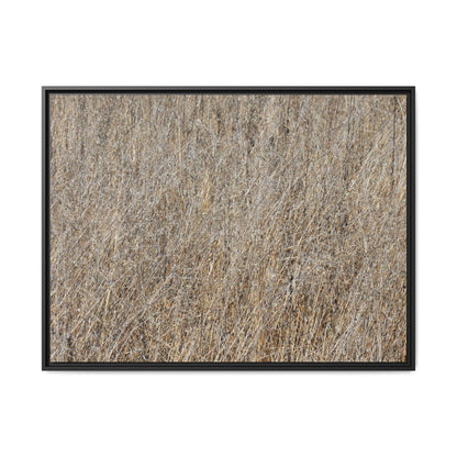 Whispers of Straw - Unique Stretched Canvas Wall Art - Art By Earth