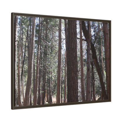 Forest Cathedral - Unique Stretched Canvas Wall Art