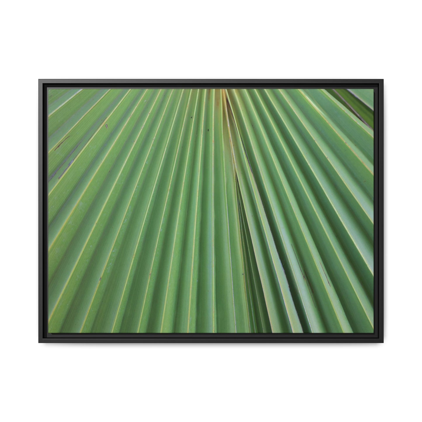 Verdant Veins - Unique Stretched Canvas Wall Art