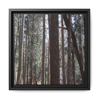 Forest Cathedral - Unique Stretched Canvas Wall Art
