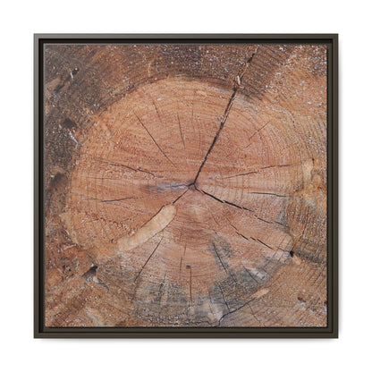 Concentric Memories - Unique Stretched Canvas Wall Art