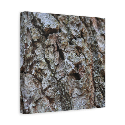 Cracked Echoes - Unique Frameless Canvas Wall Art