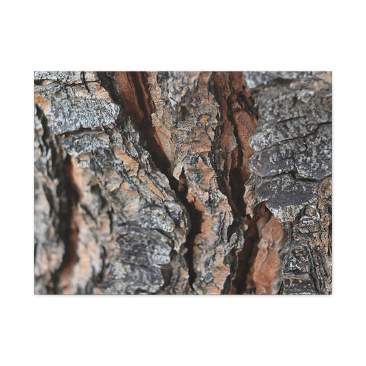 Rough Whispers - Unique Frameless Canvas Wall Art