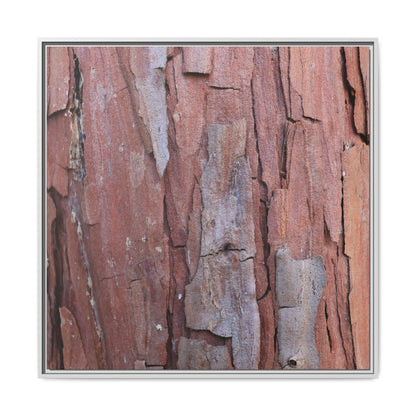 Peeling Bark - Unique Stretched Canvas Wall Art