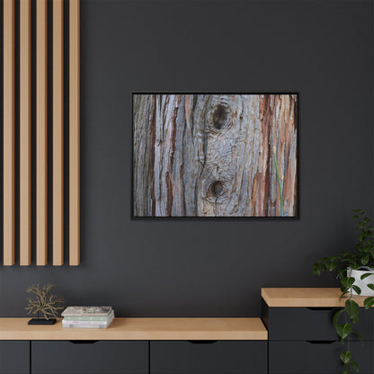 Knotty Nature - Unique Stretched Canvas Wall Art