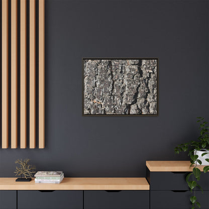 Bark Study in Gray - Unique Stretched Canvas Wall Art