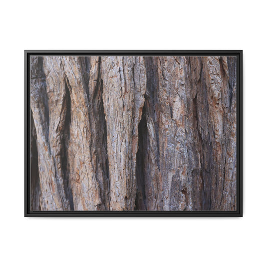 Ancient Grains - Unique Poster Wall Art
