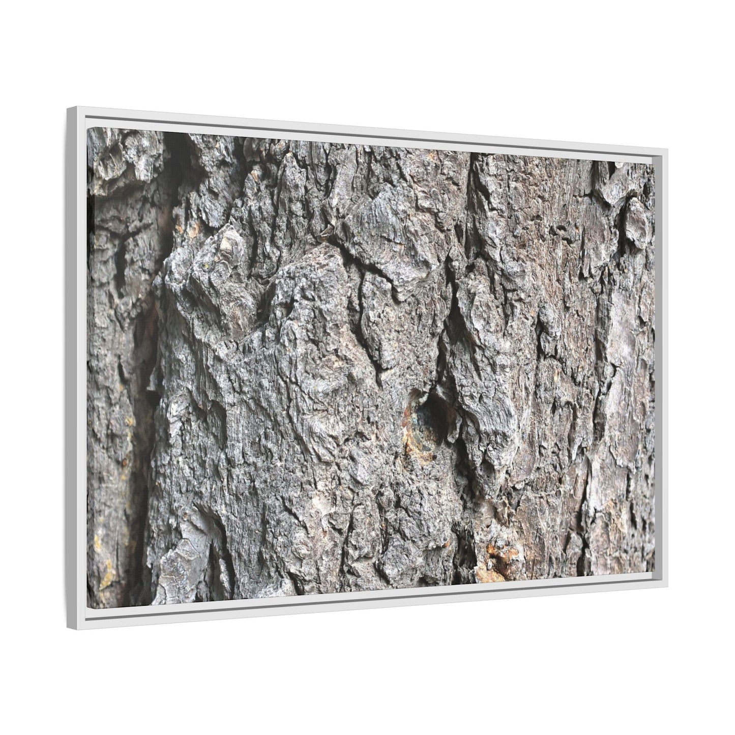 Crusty Exterior - Unique Stretched Canvas Wall Art