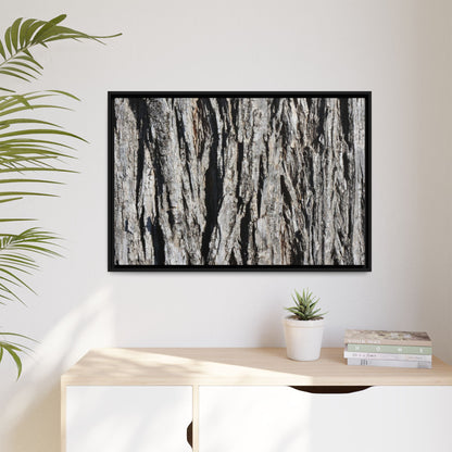 Bark Lines - Unique Stretched Canvas Wall Art