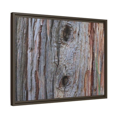 Knotty Nature - Unique Stretched Canvas Wall Art