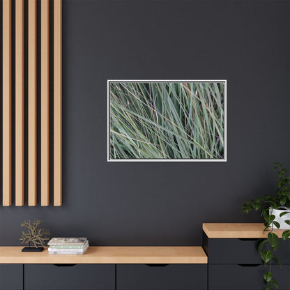 Grassland Symphony - Unique Stretched Canvas Wall Art