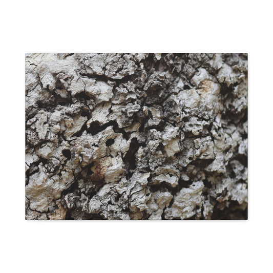 Cracked Earth Tapestry - Unique Frameless Canvas Wall Art