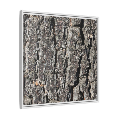 Bark Study in Gray - Unique Stretched Canvas Wall Art