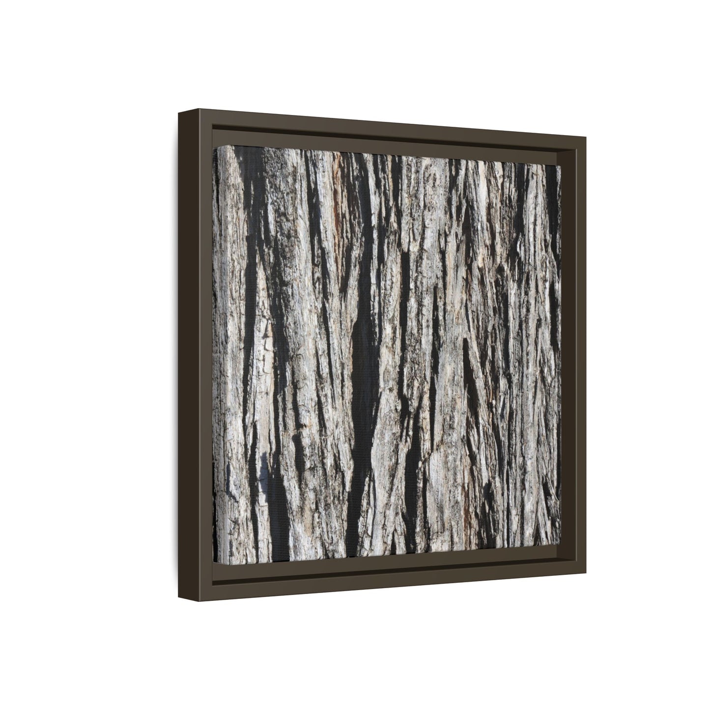 Bark Lines - Unique Stretched Canvas Wall Art