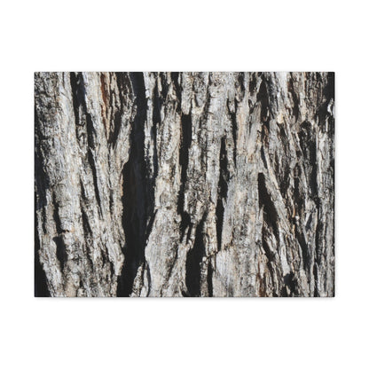Bark Textures in Monochrome - Unique Frameless Canvas Wall Art