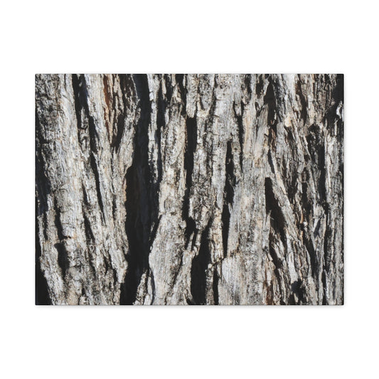 Bark Textures in Monochrome - Unique Frameless Canvas Wall Art