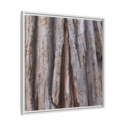 Nature's Sculpture - Unique Stretched Canvas Wall Art