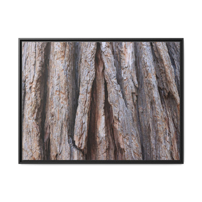 Nature's Sculpture - Unique Stretched Canvas Wall Art
