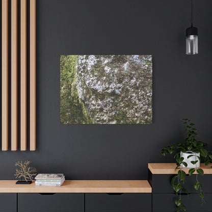 Moss and Stone Whispers - Unique Frameless Canvas Wall Art